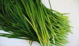 原神最新爆料韭菜,神秘韭菜助力角色成长，探索游戏新玩法