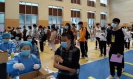 高密中骏爆料最新消息,揭秘项目进展与未来规划