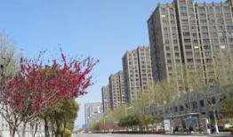 新沂房产爆料最新消息,最新爆料揭示市场趋势与热点项目