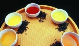 最新茶叶爆料视频大全集,揭秘茶叶大全集背后的秘密与传奇