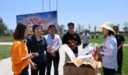 夏邑县最新情况爆料新闻,最新爆料揭示惊人真相