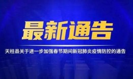 蓝厂最新系统爆料新闻,颠覆性升级，引领科技新潮流