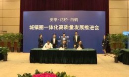 嘉定新闻爆料网站最新,揭秘最新爆料背后的真相与影响