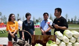 夏邑县最新情况爆料新闻,最新爆料揭示惊人真相