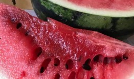 西昌的瓜最新爆料,最新爆料揭秘瓜界新宠